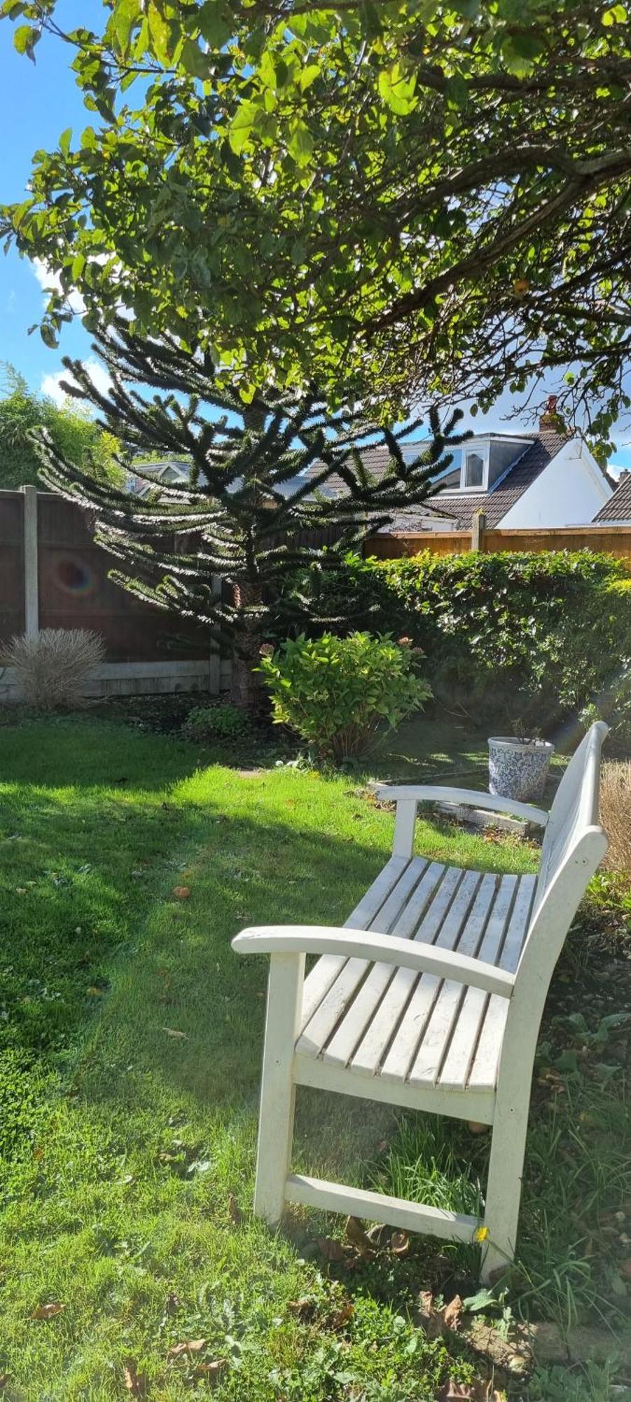 Cosy Bournemouth Bungalow Ферндаун Екстер'єр фото